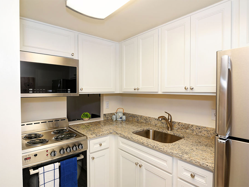 Apartment Kitchen