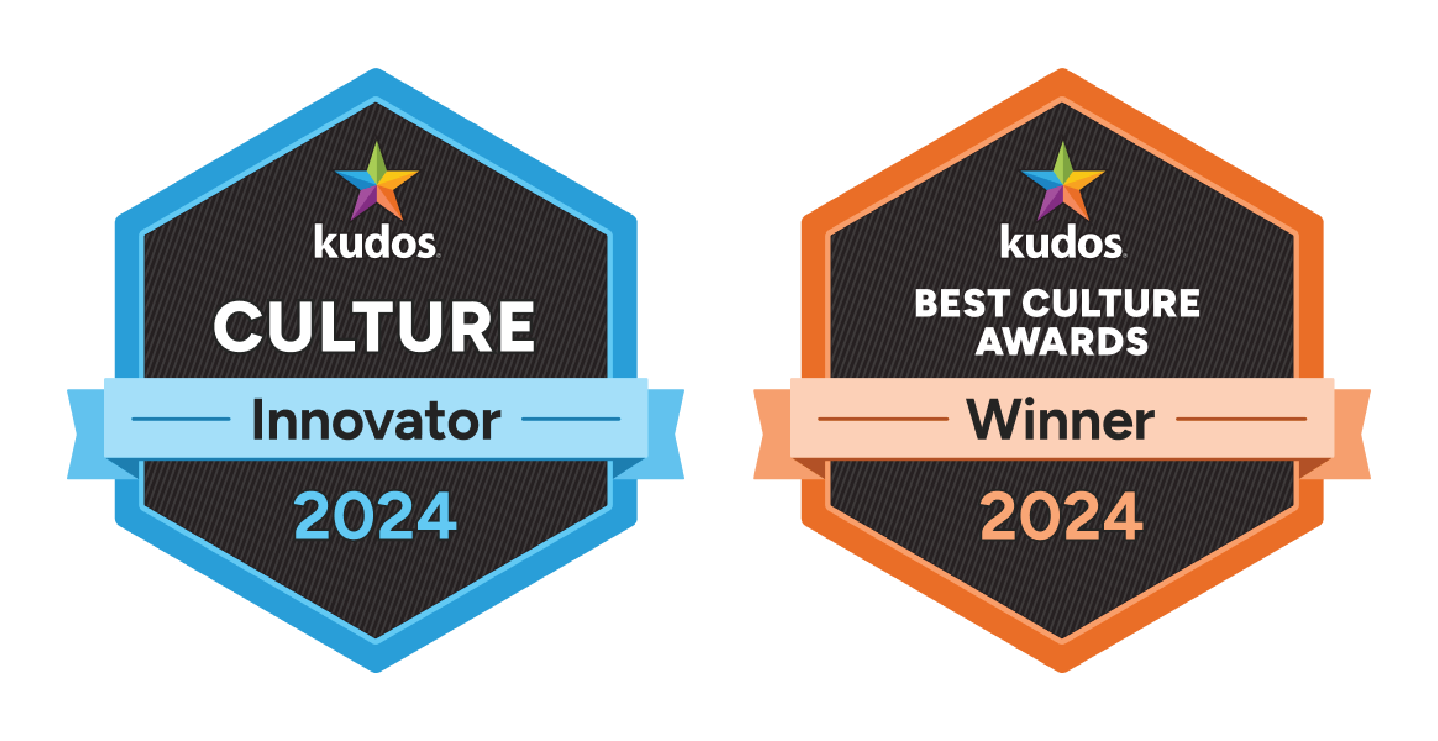 2024 Kudos Culture Awards for WEL